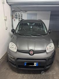 Panda hybrid 2021 0 sinistri