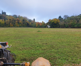 Campi, vigneto, frutteto o bosco