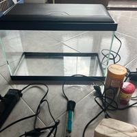 Acquario con riscaldatore