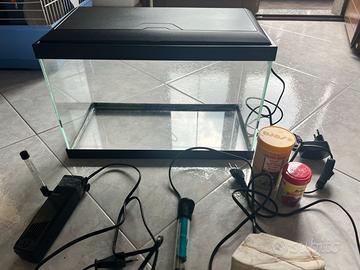 Acquario con riscaldatore