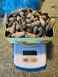 3kg di piombi da pesca