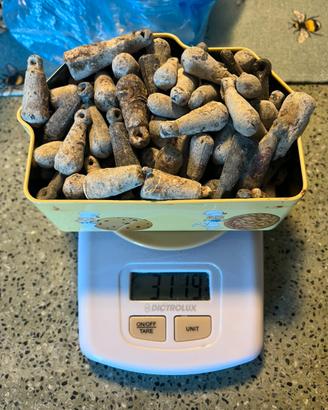 3kg di piombi da pesca