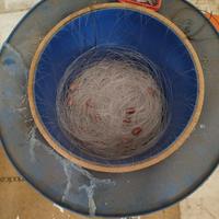 Palamito per saraghi