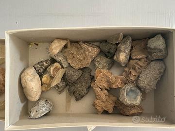 Collezione minerali fossili e pietre dure vintage