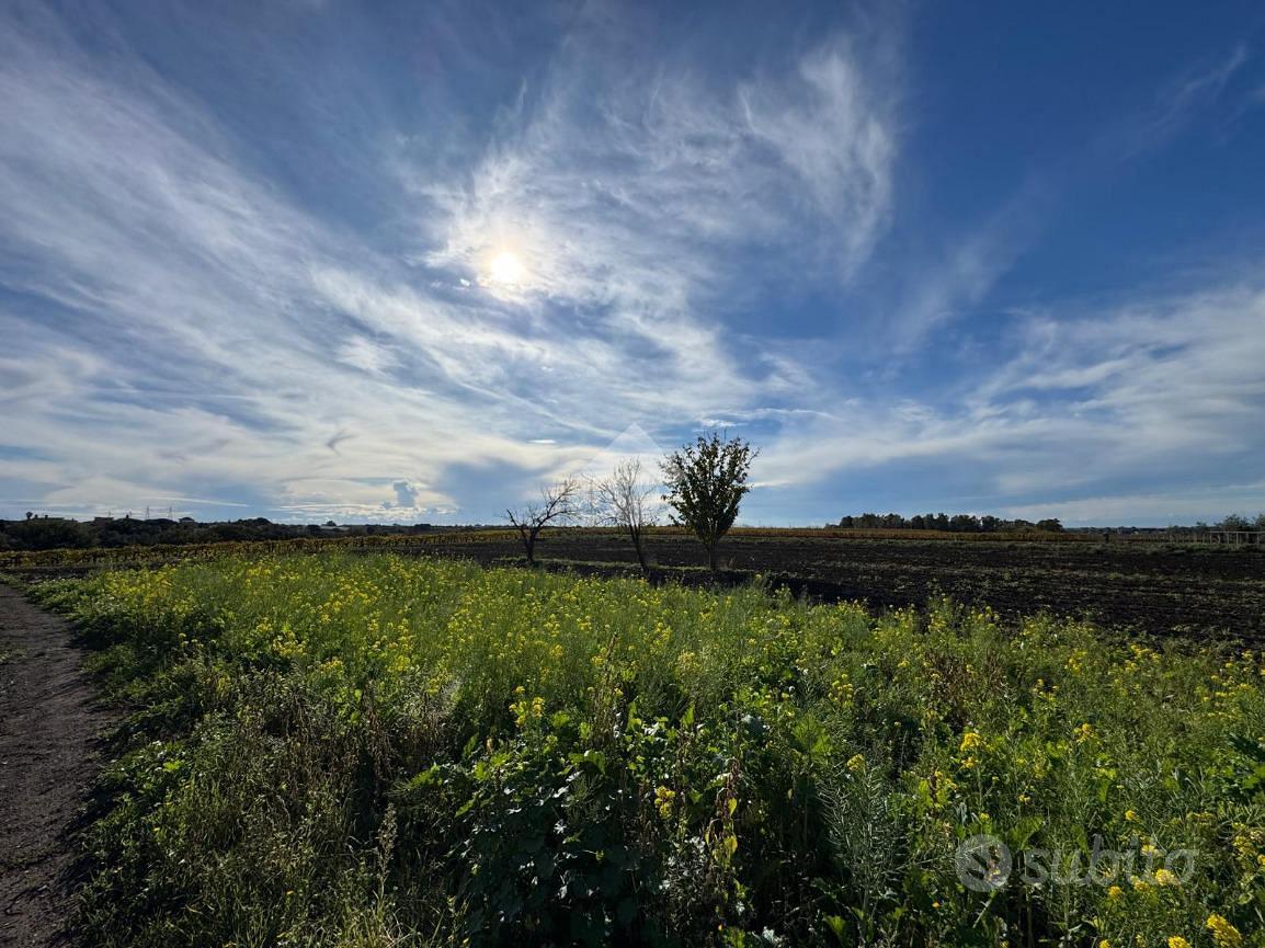TER. AGRICOLO A ARDEA - Vista 5