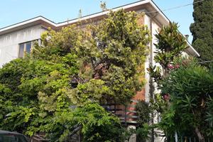 Rimini appartamento in villa