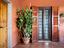 Immagine 23