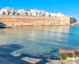 Monopoli Ampio appartamento vicino al mare