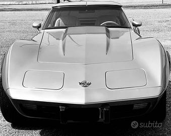 Corvette c3 Silver Anniversary 1978
