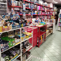 Lussuoso negozio giochi