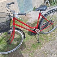 Bicicletta da Donna 