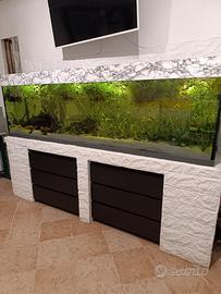 Avannotti pesci tropicali misti