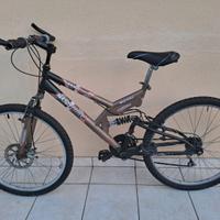 Mountain bike oro