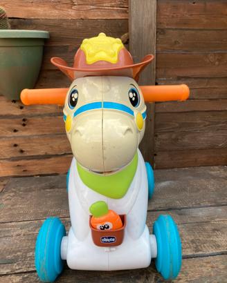 Cavallino  chicco rodeo