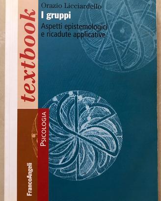 I gruppi. Aspetti epistemologici e applicazioni