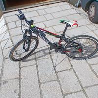 Bicicletta per bambino