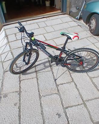 Bicicletta per bambino