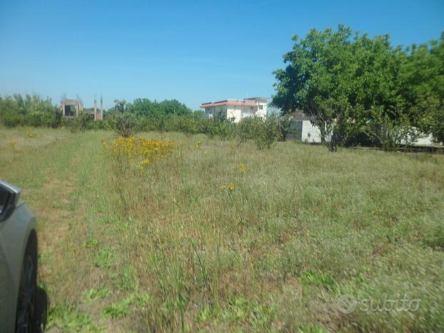 Terreno agricolo di 6.300 mq fonte strada