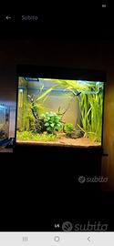 Acquario juwel lido 120