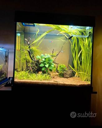 Acquario juwel lido 120