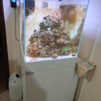 acquario marino aqpet kubic 50 120 lt