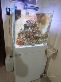 acquario marino aqpet kubic 50 120 lt