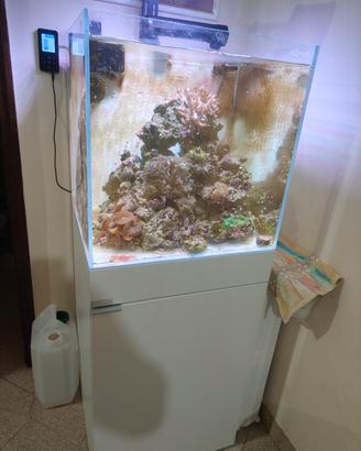 acquario marino aqpet kubic 50 120 lt