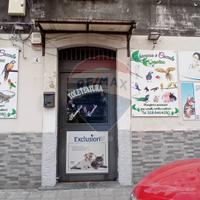 Negozio - Catania