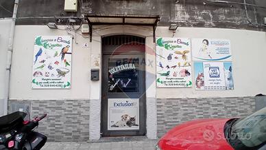 Negozio - Catania