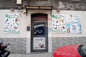 Negozio - Catania