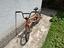 Immagine 1