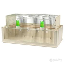 Maxi Tino telescopico 2gr NUOVO