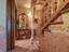 Immagine 15