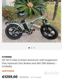 Bicicletta elettrica 