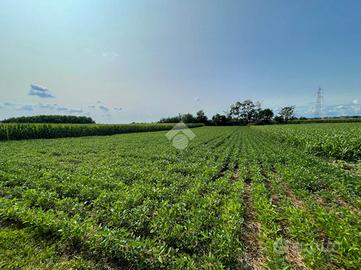 TER. AGRICOLO A SULBIATE