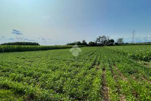 TER. AGRICOLO A SULBIATE