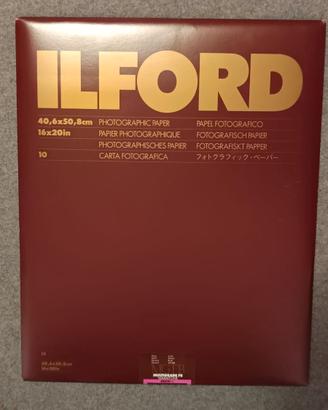 Carta fotografica Ilford Warmtone