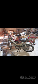 Tubone 50cc