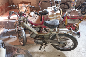 Tubone 50cc