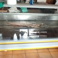 Banco frigo salumeria e gastronomia 4.0x1.2x1.2m