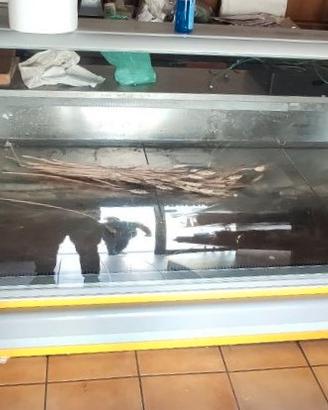 Banco frigo salumeria e gastronomia 4.0x1.2x1.2m