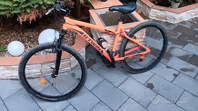bicicletta