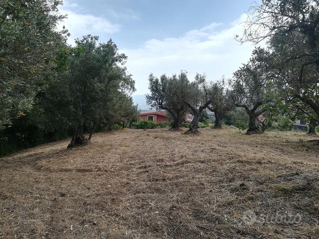 Terreno edificabile Mendicino - Cosenza