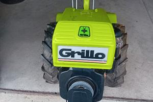Motocoltivatore grillo 131