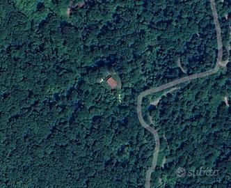 Rustico in costruzione e 10+ ettari di terreno