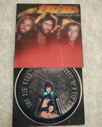 2 dischi vinile 33 giri dei BEE GEES
