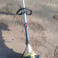 Decespugliatore revisionato 