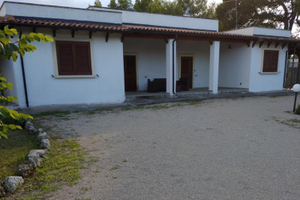 Appartamento libero fino a giugno 2026