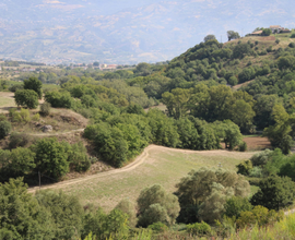 Terreno agricolo con 2 immobili a Montalto U. (CS)