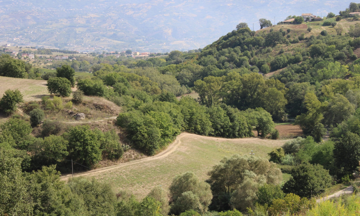 Terreno agricolo con 2 edifici a Montalto U. (CS)
